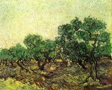 Olive Picking 2 Vincent van Gogh Oil Paintings